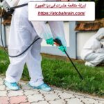 شركة مكافحة حشرات في دبا الفجيرة