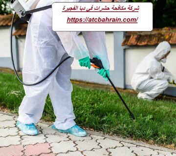 شركة مكافحة حشرات في دبا الفجيرة