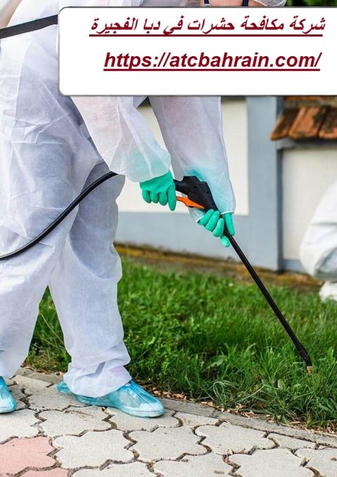 شركة مكافحة حشرات في دبا الفجيرة شركة مكافحة حشرات في دبا الفجيرة