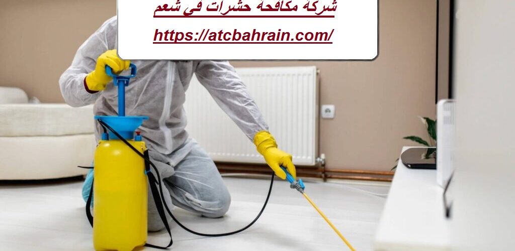 شركة مكافحة حشرات في شعم