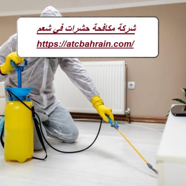 شركة مكافحة حشرات في شعم شركة مكافحة حشرات في شعم