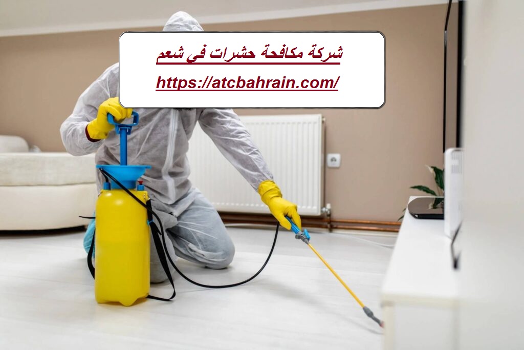 شركة مكافحة حشرات في شعم