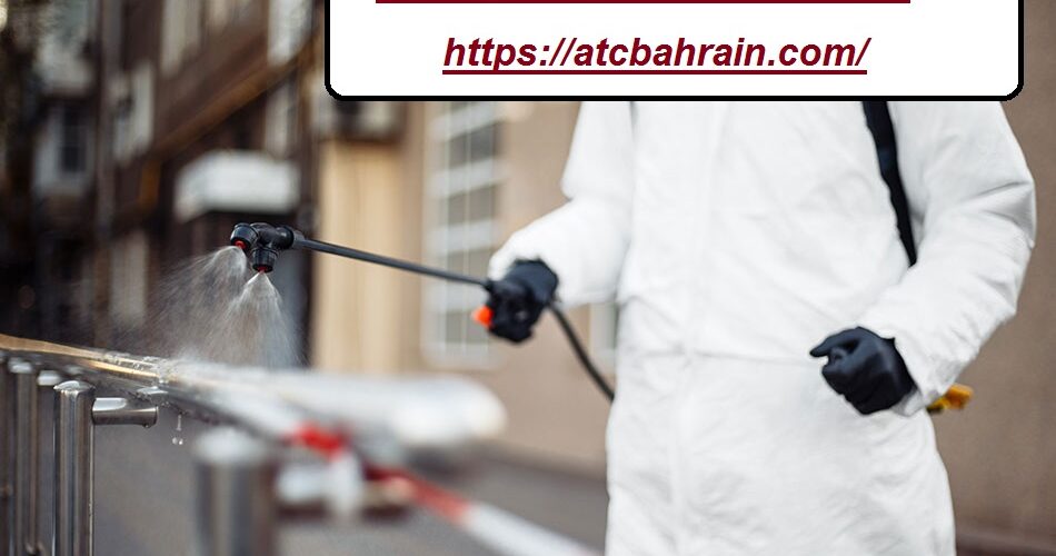شركة مكافحة حشرات في كلباء