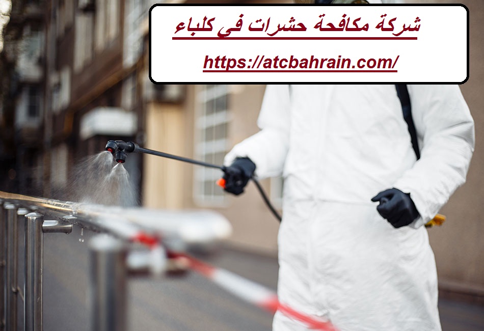 شركة مكافحة حشرات في كلباء